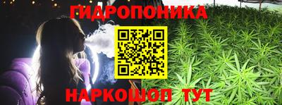 гидропоника Гусев